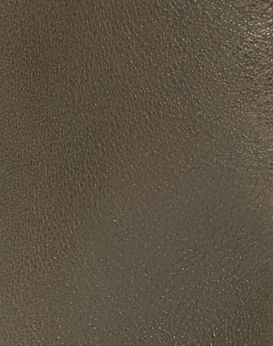 Dark Olive 