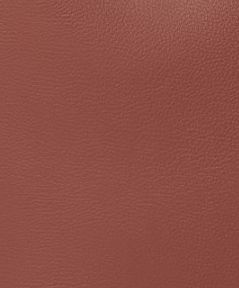 Chestnut