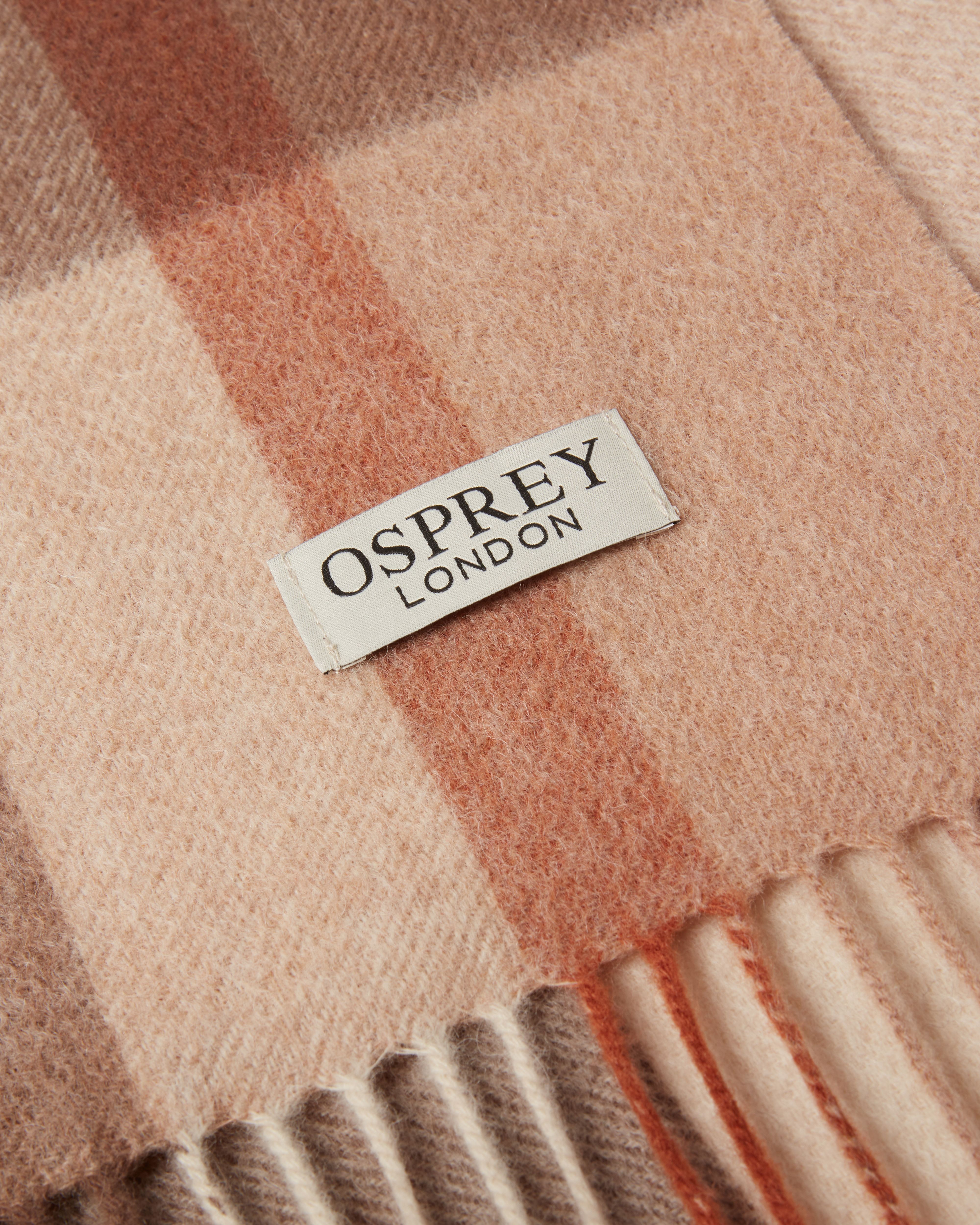 Image number 5 of The Skye Cashmere Scarf in Neutral