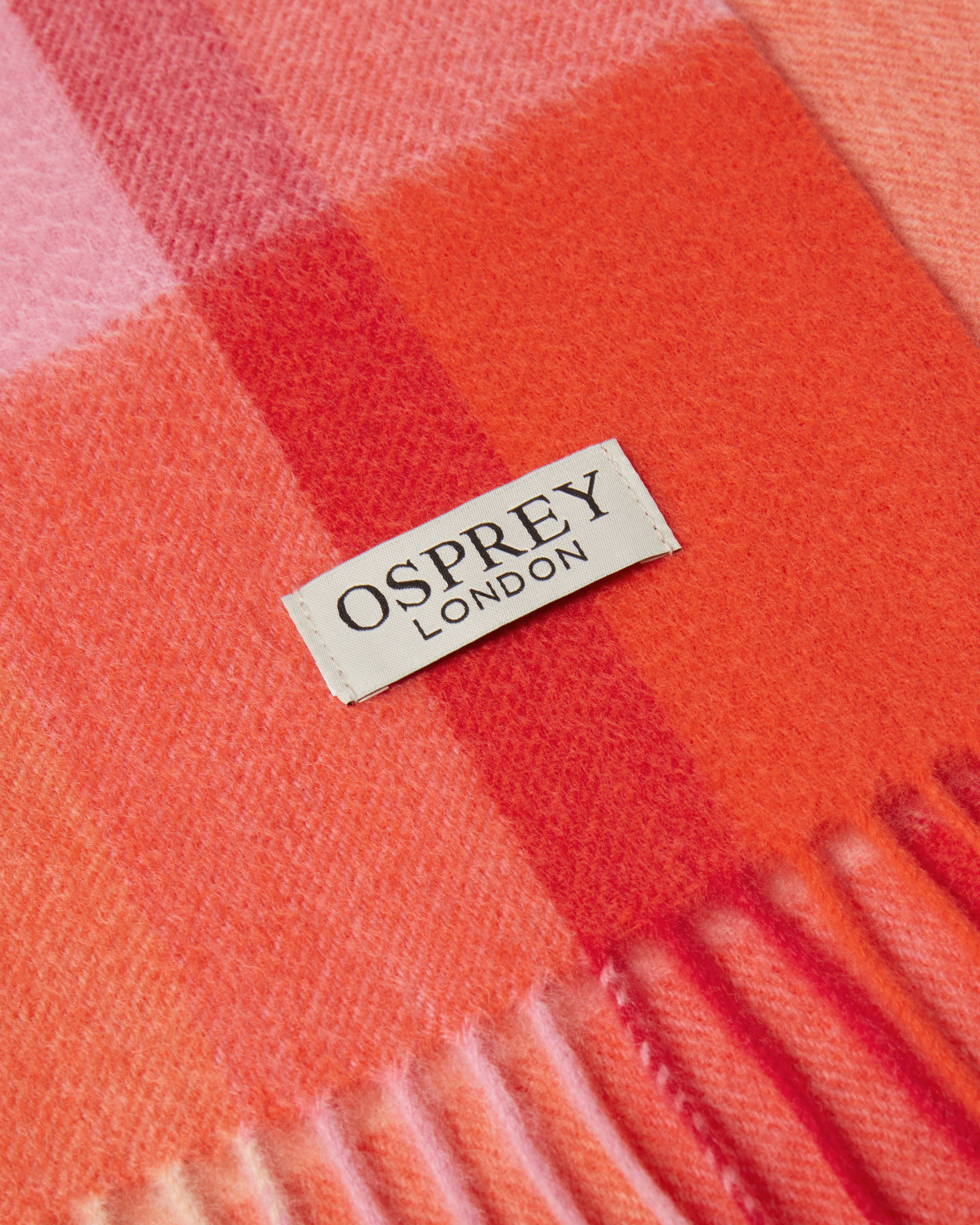 Image number 5 of The Skye Cashmere Scarf in Brights