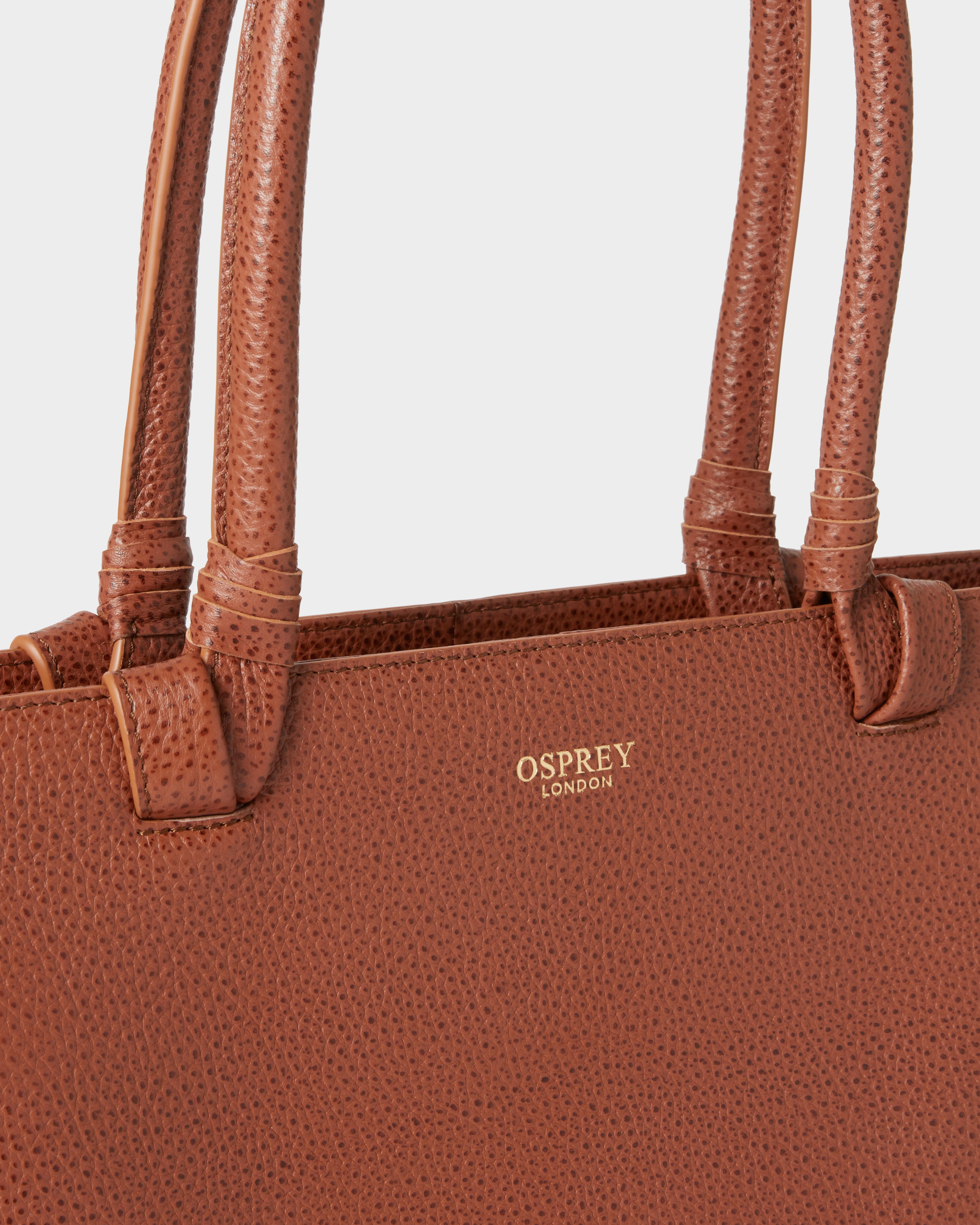Image number 5 of The Collier Leather Tote in Tan