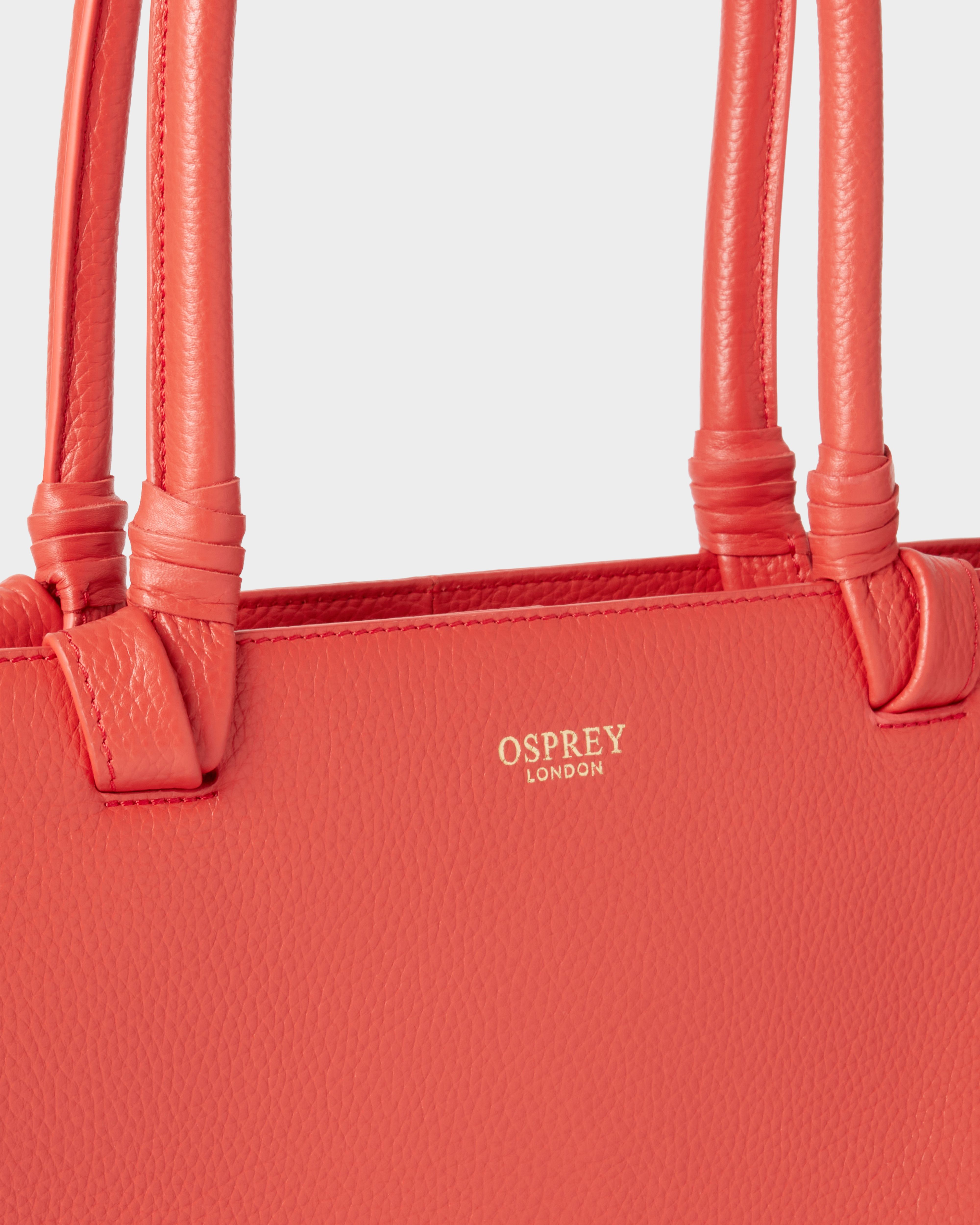 Image number 5 of The Collier Leather Tote in Chili
