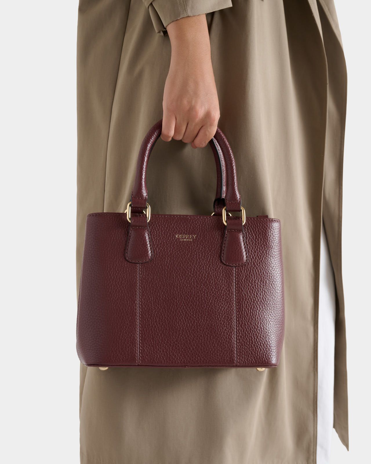 The Adaline Leather Mini Grab in Merlot